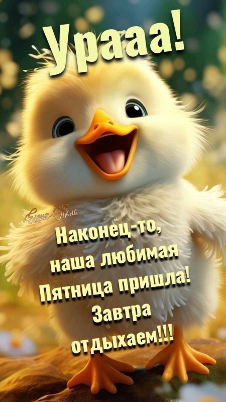Прикольные картинки "С пятницей". Прикольные картинки с Пятницей