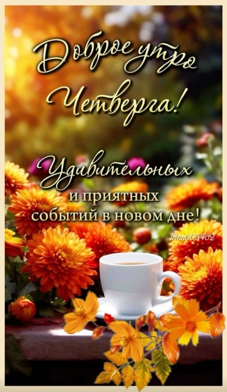 Картинки Доброе утро четверга