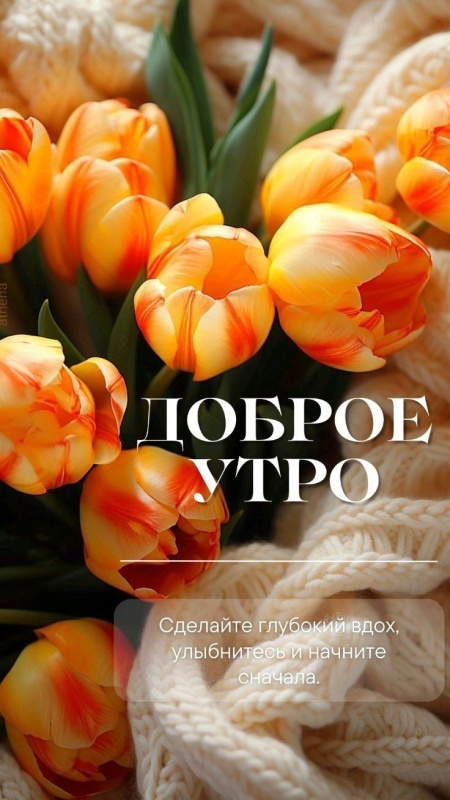 Картинки Доброе утро четверга. Красивые картинки Доброе утро четверга