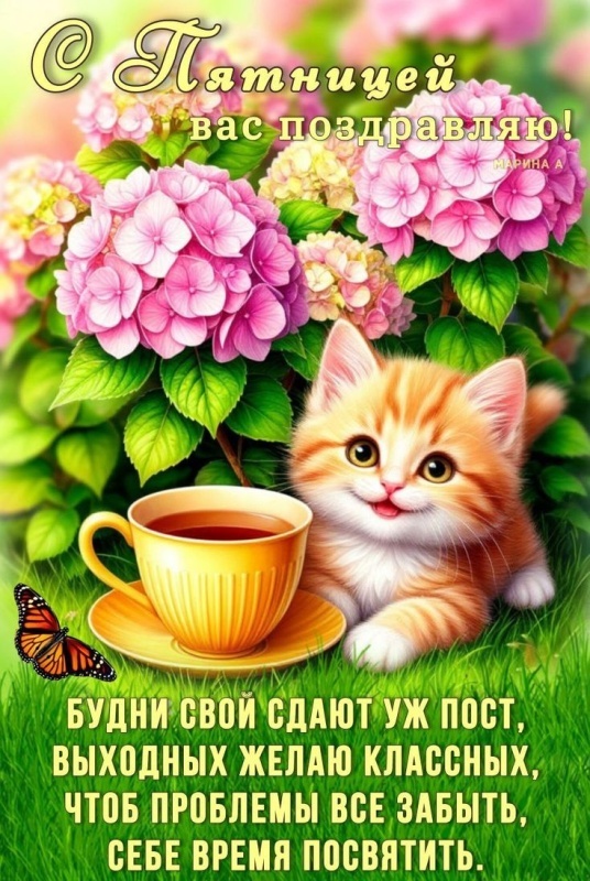 Прикольные картинки "С пятницей". Прикольные картинки с Пятницей