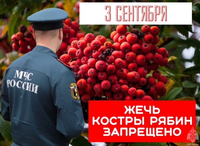 Картинки на 3 сентября прикольные новые. Прикольные картинки с 3 сентября (с Шафутинским)