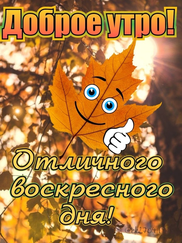 Картинки Доброе утро воскресенья (100 открыток). Осенние картинки Доброе утро воскресенья