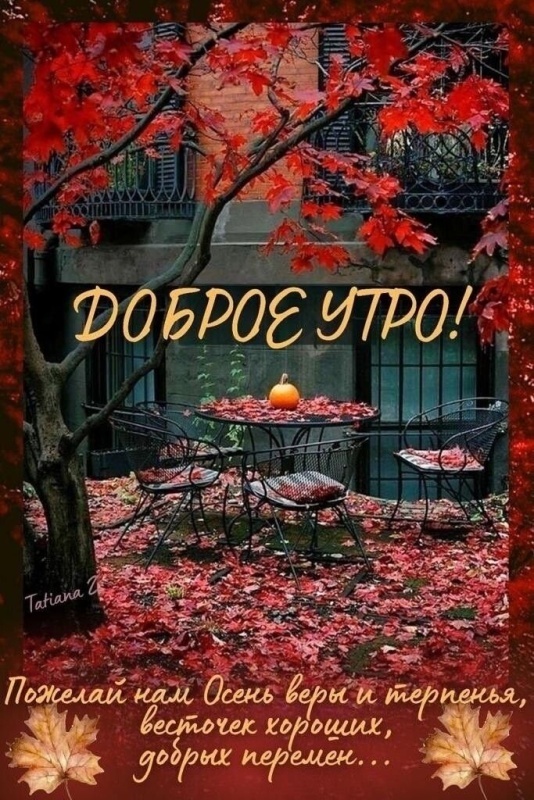 Красивые открытки "Доброе осеннее утро". Красивые открытки "С добрым осенним утром"