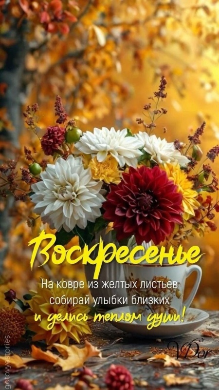 Картинки Доброе утро воскресенья (100 открыток). Осенние картинки Доброе утро воскресенья