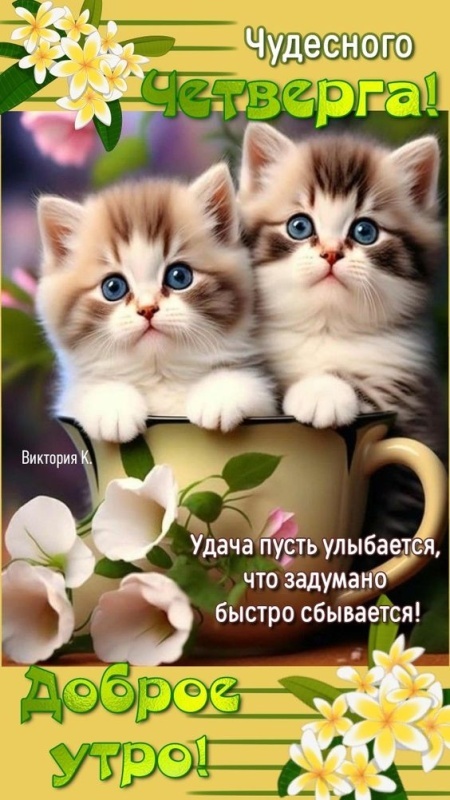 картинки с Добрым утром четверга . Доброе утро четверга - открытки с пожеланиями