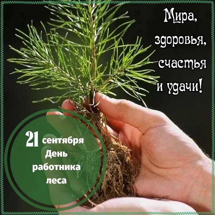Картинки с Днем работников леса и лесоперерабатывающей промышленности. Душевные открытки на День работников леса