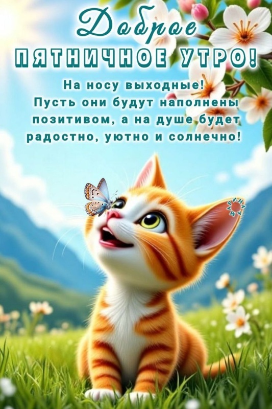 Прикольные картинки "С пятницей". Картинки Доброе утро пятница