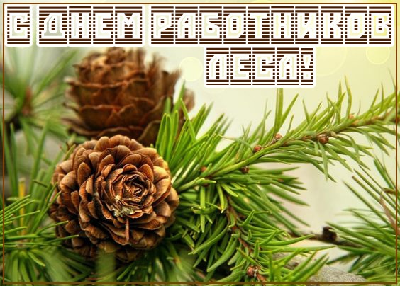 Картинки с Днем работников леса и лесоперерабатывающей промышленности. Душевные открытки на День работников леса