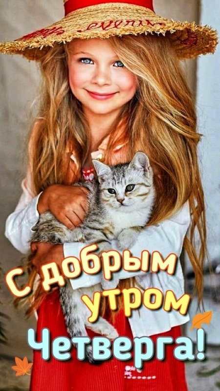 Картинки Доброе утро четверга. Красивые картинки Доброе утро четверга