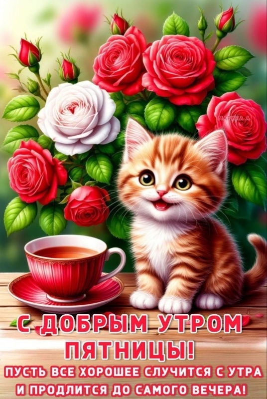 Прикольные картинки "С пятницей". Прикольные картинки с Пятницей