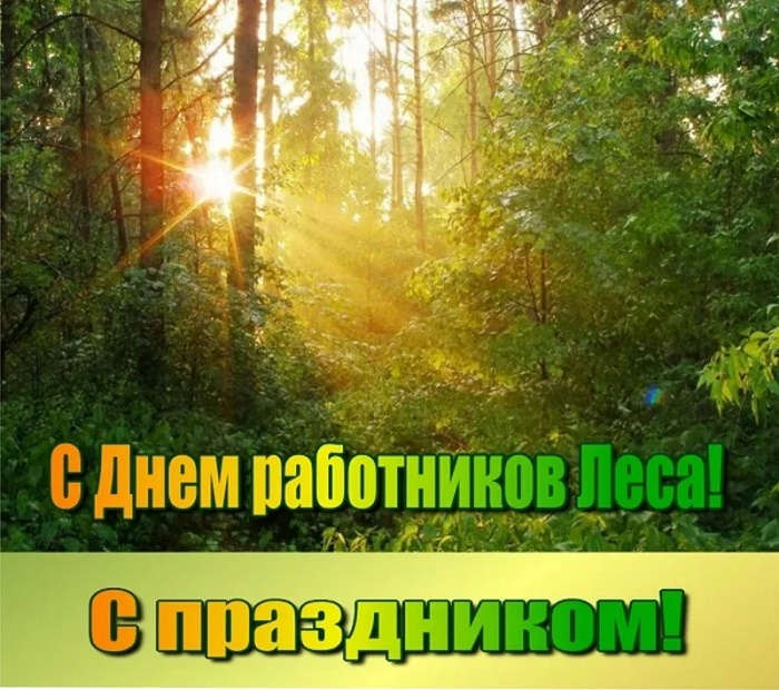 Картинки с Днем работников леса и лесоперерабатывающей промышленности. Душевные открытки на День работников леса