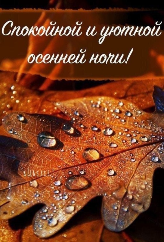 Осенние картинки Доброй ночи (30+ шт.). Картинки "Доброй ночи" осенние красивые
