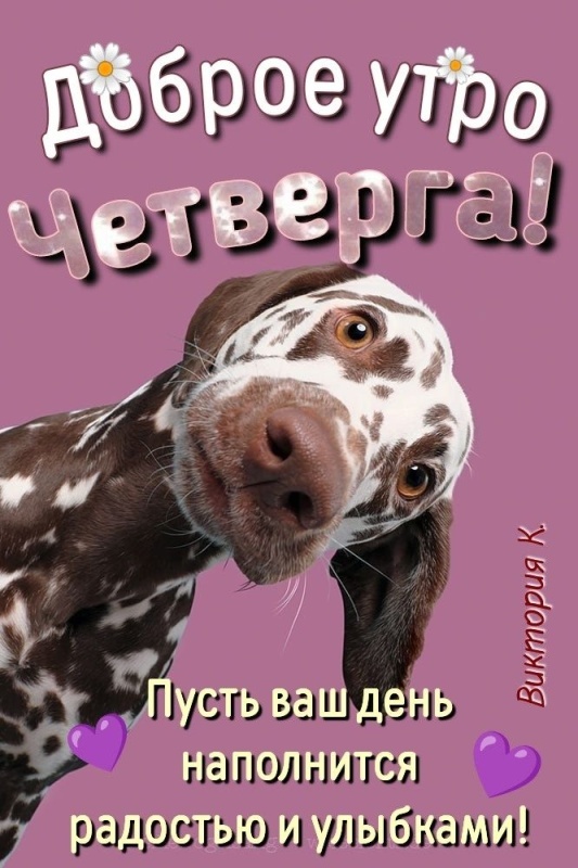 Картинки Доброе утро четверга. Прикольные картинки "Доброе утро четверг"