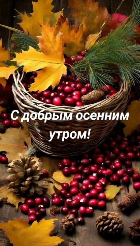 Красивые открытки "Доброе осеннее утро". Открытки "Доброе осеннее утро" (красивые и новые)