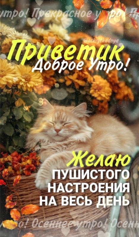 Картинки Доброе осеннее утро. Доброе осеннее утро - картинки позитивные