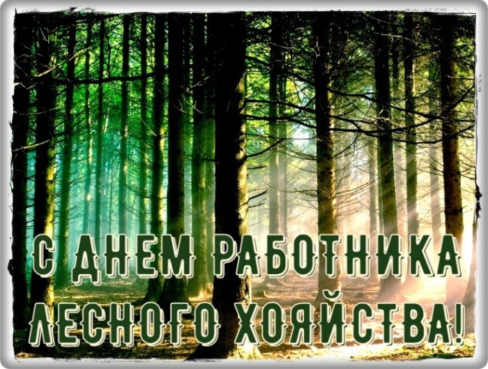 Картинки с Днем работников леса и лесоперерабатывающей промышленности. Душевные открытки на День работников леса