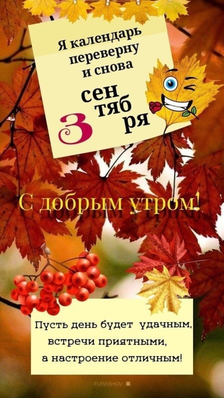 Картинки на 3 сентября прикольные новые. Картинки с 3 сентября прикольные