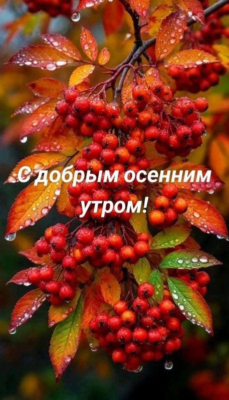 Красивые картинки Доброе осеннее утро. Картинки Доброе осеннее утро (сентябрь)