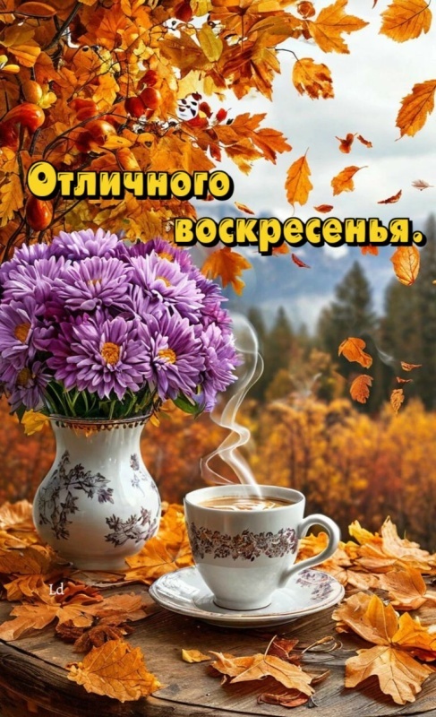 Картинки Доброе утро воскресенья (100 открыток). Осенние картинки Доброе утро воскресенья