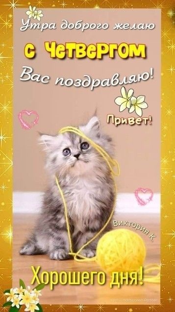 Картинки Доброе утро четверга. Прикольные картинки "Доброе утро четверг"