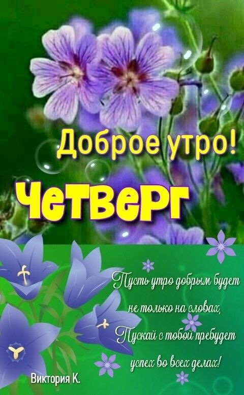 Картинки Доброе утро четверга. Красивые картинки Доброе утро четверга
