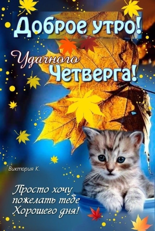 Картинки Доброе утро четверга. Прикольные картинки "Доброе утро четверг"