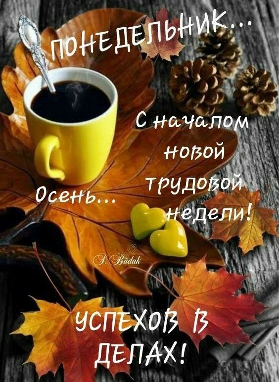 Картинки Доброе утро понедельника (90 открыток). Осенние картинки Доброе утро понедельника