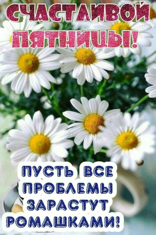 Прикольные картинки "С пятницей". Картинки "С Пятницей" прикольные