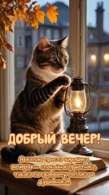Картинки "Добрый осенний вечер". Красивые осенние картинки Добрый вечер