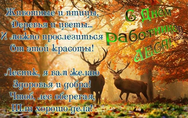 Картинки с Днем работников леса и лесоперерабатывающей промышленности. Душевные открытки на День работников леса