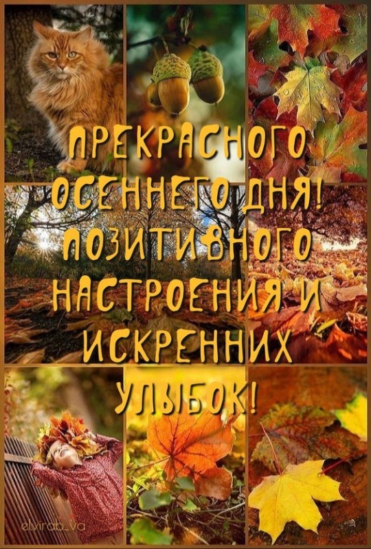 Картинки Хорошего осеннего дня.