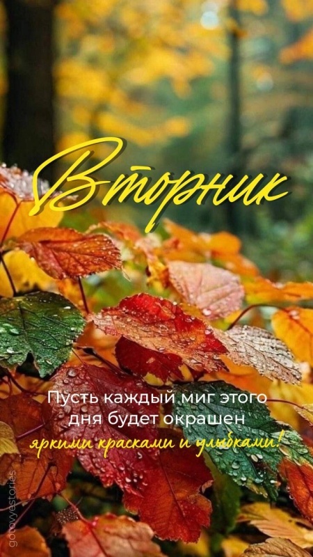 Осенние картинки доброе утро втроника. Красивые картинки Доброе утро вторника