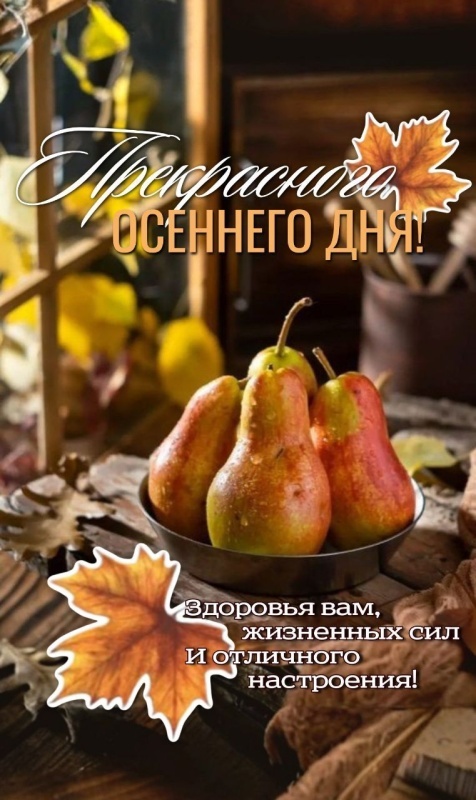 Картинки Хорошего осеннего дня. Красивые осенние картинки Хорошего дня