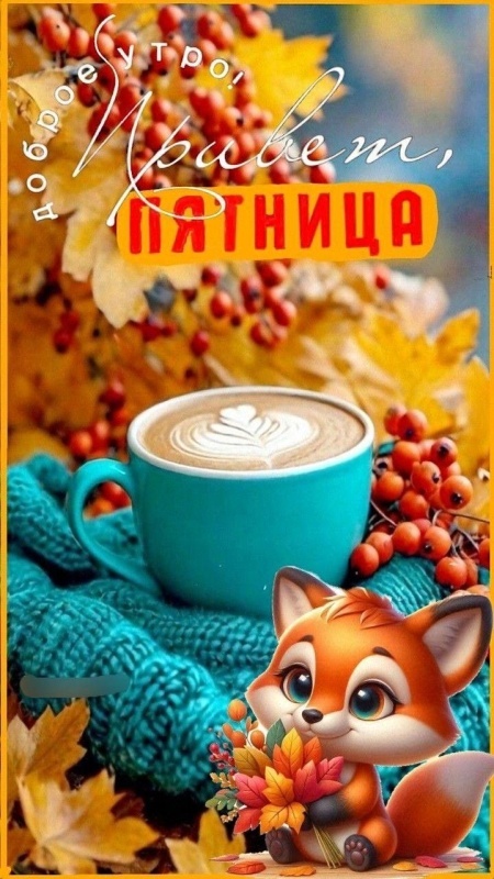 Картинки "Доброе утро пятницы" осенние. Красивые осенние картинки Доброе утро пятница
