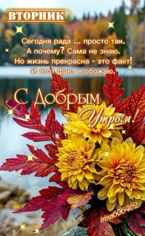 Осенние картинки доброе утро втроника. Необычные осенние картинки Доброе утро 