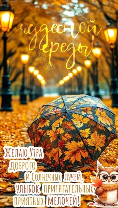 Осенние картинки Доброе утро среды. Картинки Доброе утро среды