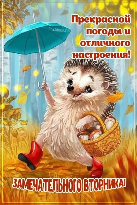 Осенние картинки доброе утро втроника. Доброе утро вторника - картинки осенние