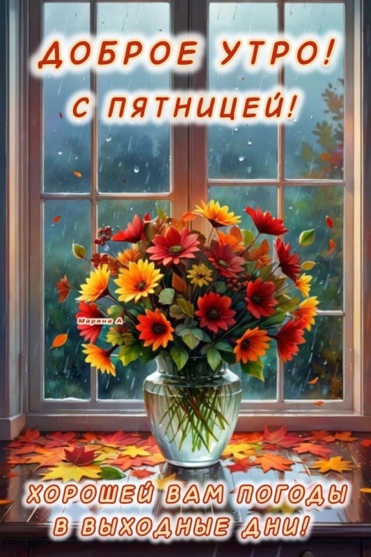 Картинки "Доброе утро пятницы" осенние. Красивые осенние картинки Доброе утро пятница