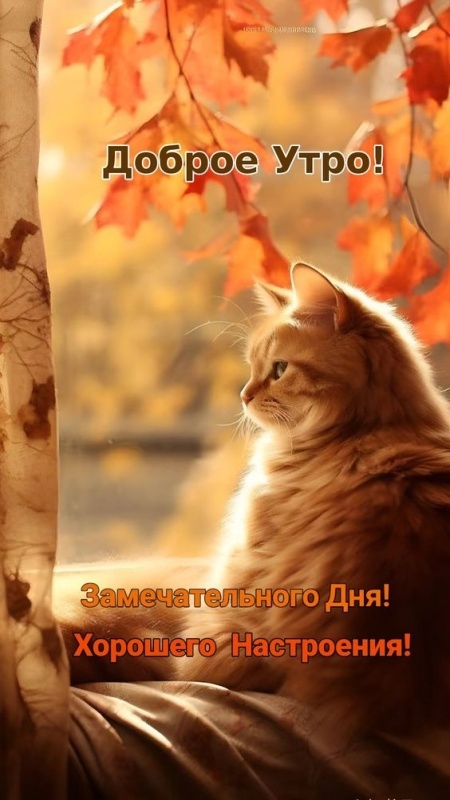 Картинки Хорошего осеннего дня.