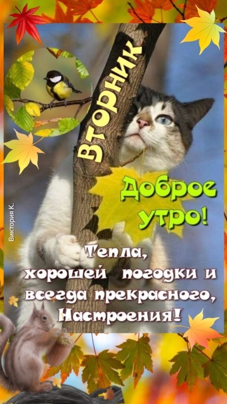 Осенние картинки доброе утро втроника. Необычные осенние картинки Доброе утро 