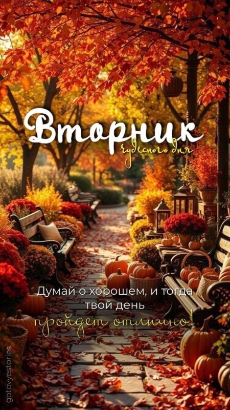 Осенние картинки доброе утро втроника. Красивые картинки Доброе утро вторника