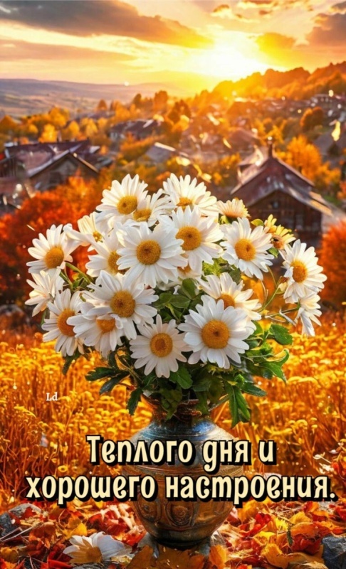 Картинки Хорошего осеннего дня. Красивые осенние картинки Хорошего дня