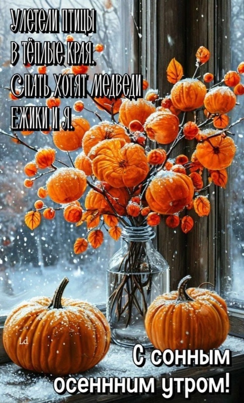 Красивые картинки Доброе утро ноября. Красивые картинки Доброе утро ноября