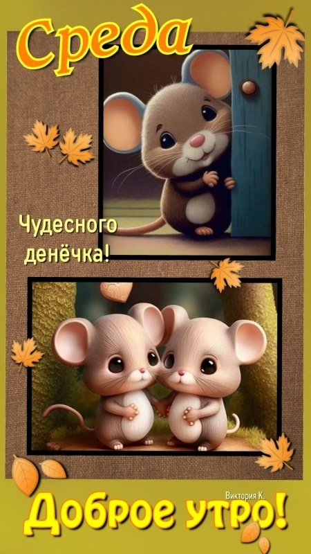 Осенние картинки Доброе утро среды. Картинки Доброе утро среды