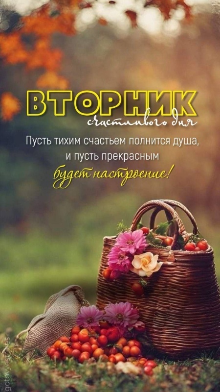 Осенние картинки доброе утро втроника. Красивые картинки Доброе утро вторника