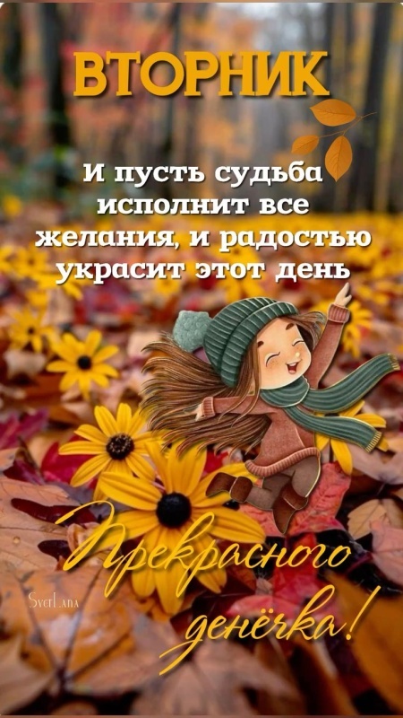Осенние картинки доброе утро втроника. Красивые картинки Доброе утро вторника