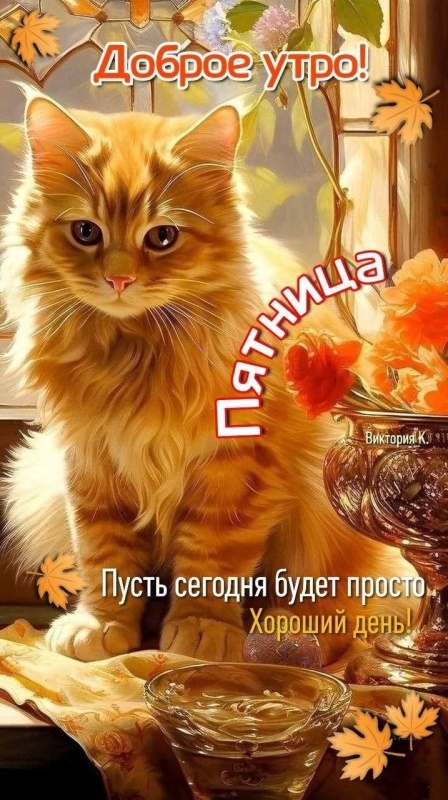 Картинки "Доброе утро пятницы" осенние. Красивые осенние картинки Доброе утро пятница