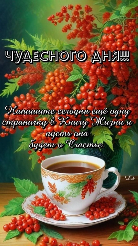 Картинки Хорошего осеннего дня. Красивые осенние картинки Хорошего дня