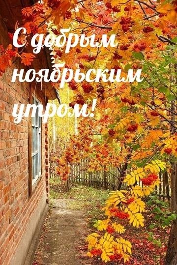 Красивые картинки Доброе утро ноября. Красивые картинки Доброе утро ноября