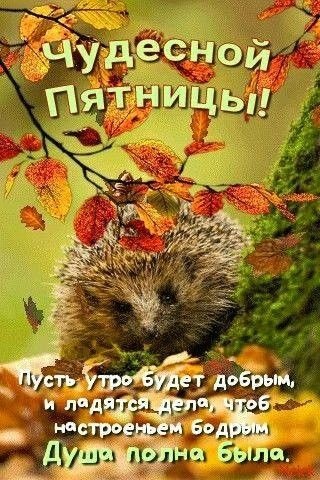 Картинки "Доброе утро пятницы" осенние. Доброе утро пятницы - осенние картинки с пожеланиями